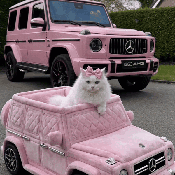 Meowtors meowtors-hero1-sq.gif