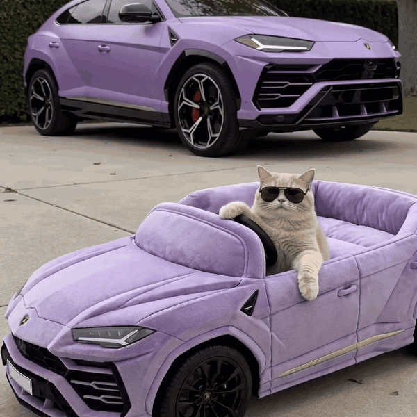 Meowtors meowtors-hero2-sq.gif