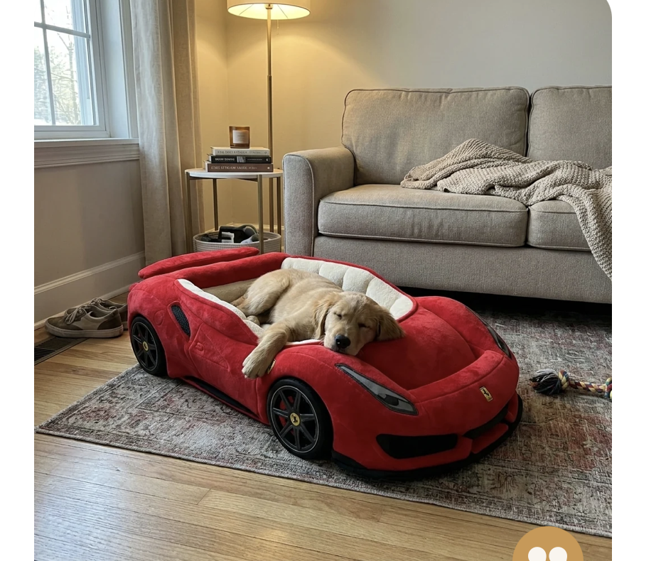 Meowtors testimonial meowtors-testi-ferrari.png