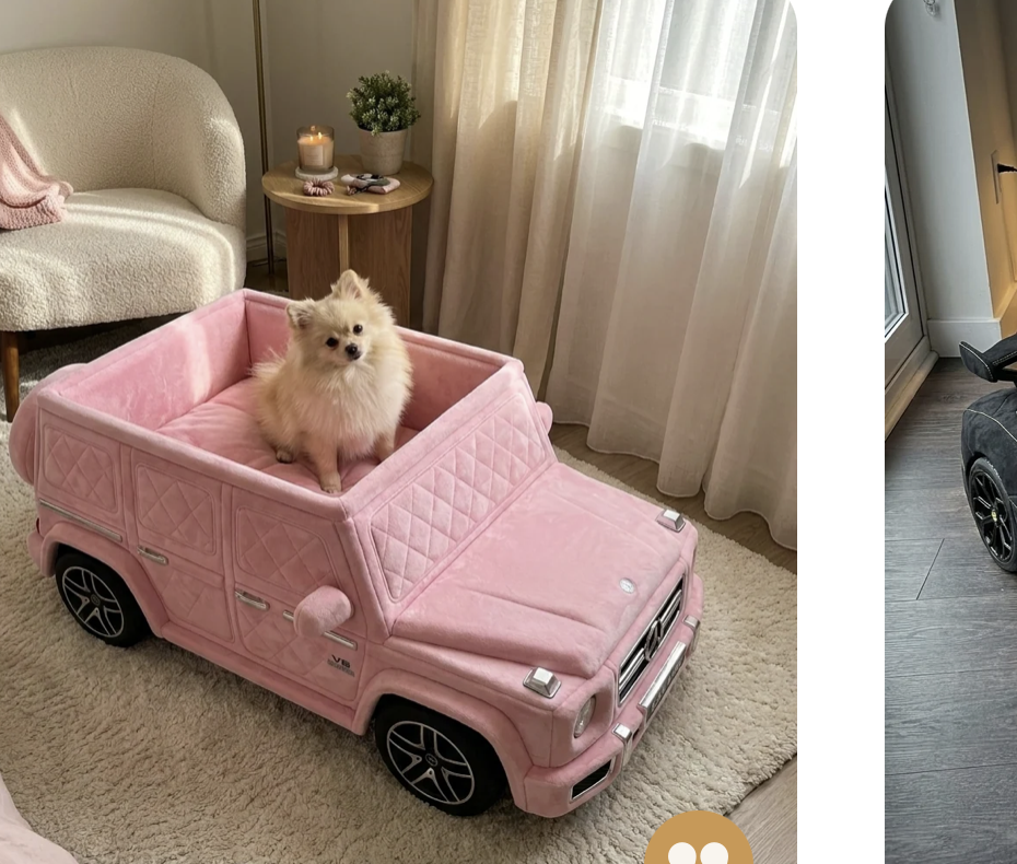 Meowtors testimonial meowtors-testi-gwagon.png