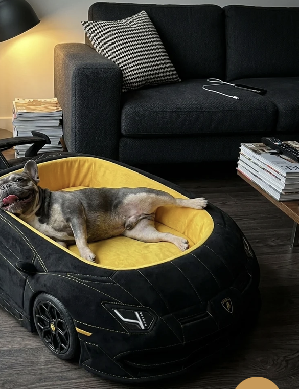 Meowtors testimonial meowtors-testi-lambo.png